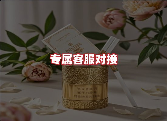 专业团队